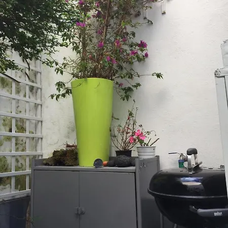 Casa Physalis Ponta Delgada