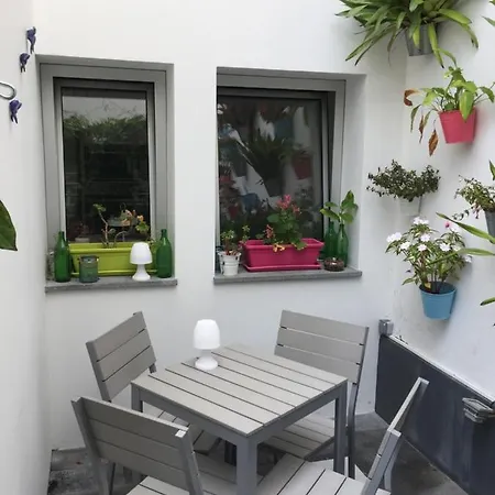 Casa Physalis
