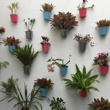 Nocleg ze śniadaniem Casa Physalis Ponta Delgada