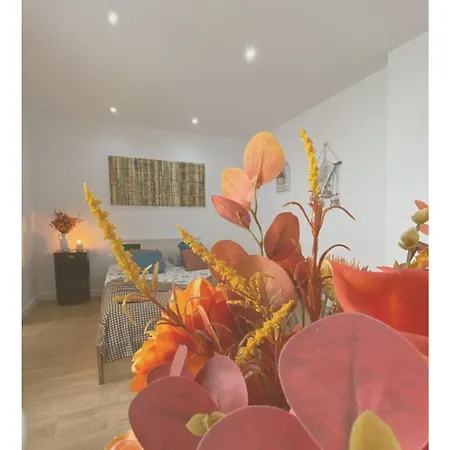 Casa Physalis * Ponta Delgada