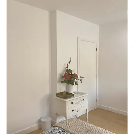 Nocleg ze śniadaniem Casa Physalis