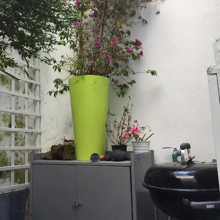 Casa Physalis Ponta Delgada
