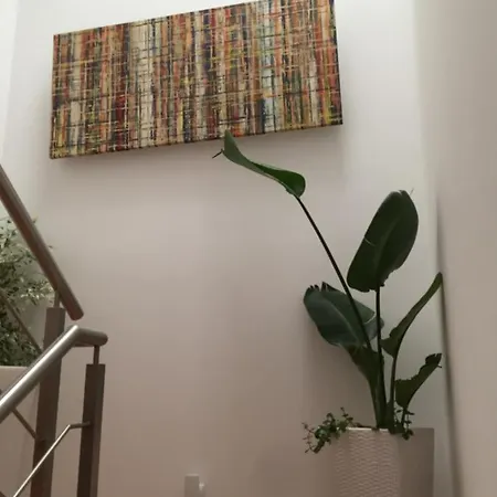 Panzió Casa Physalis *