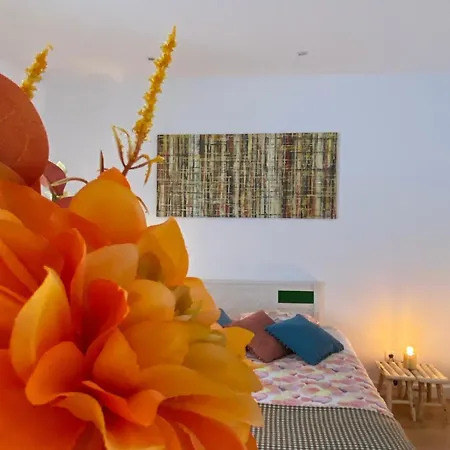 Casa Physalis