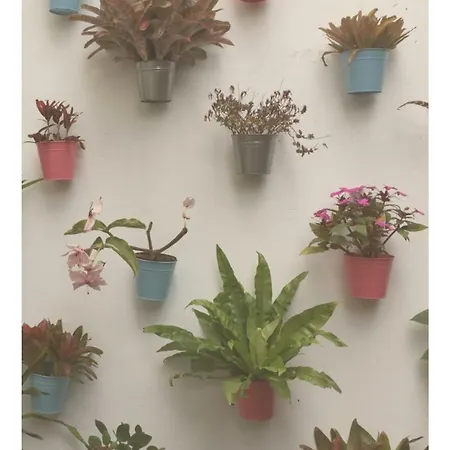 לינה וארוחת בוקר Casa Physalis Ponta Delgada