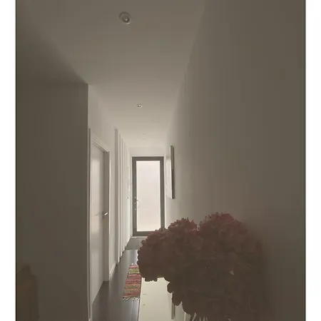 Casa Physalis Ponta Delgada