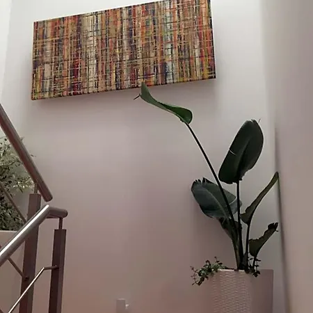 Panzió Casa Physalis *