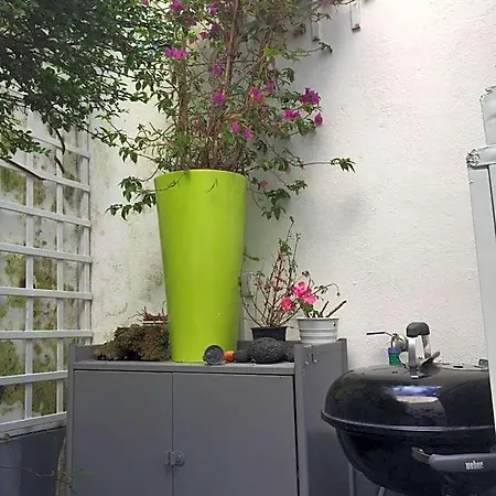 Casa Physalis Ponta Delgada