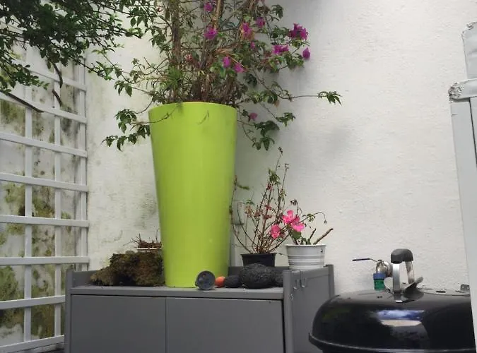 Casa Physalis Ponta Delgada (Sao Miguel)