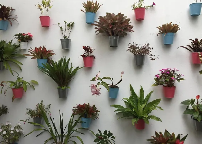 Bed & Breakfast Casa Physalis Ponta Delgada (Sao Miguel)