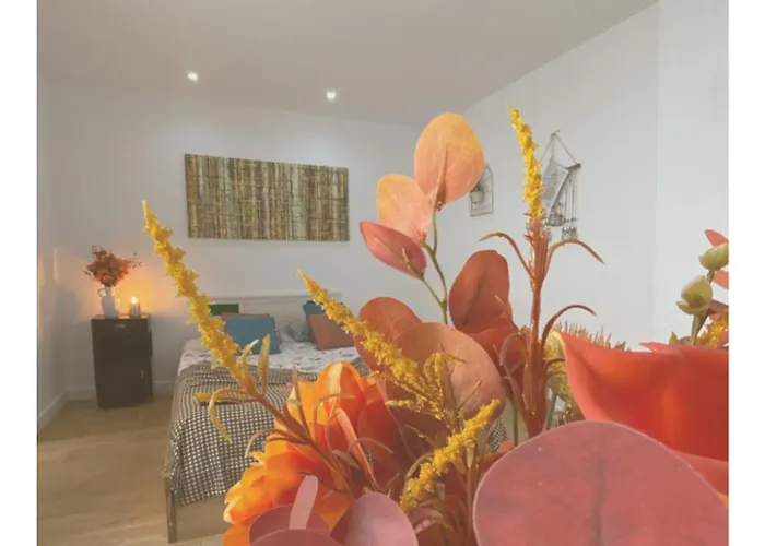 Casa Physalis * Ponta Delgada (Sao Miguel)